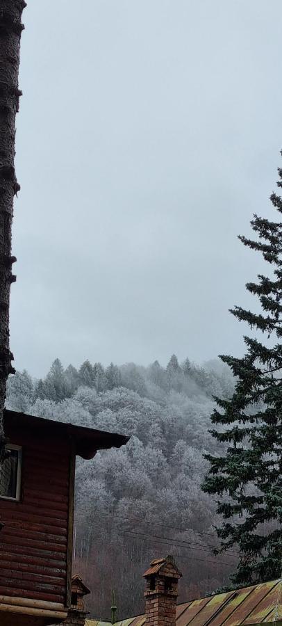 Sophie Apart Belleview Sinaia Eksteriør billede