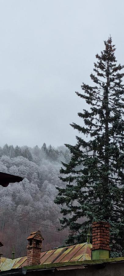 Sophie Apart Belleview Sinaia Eksteriør billede